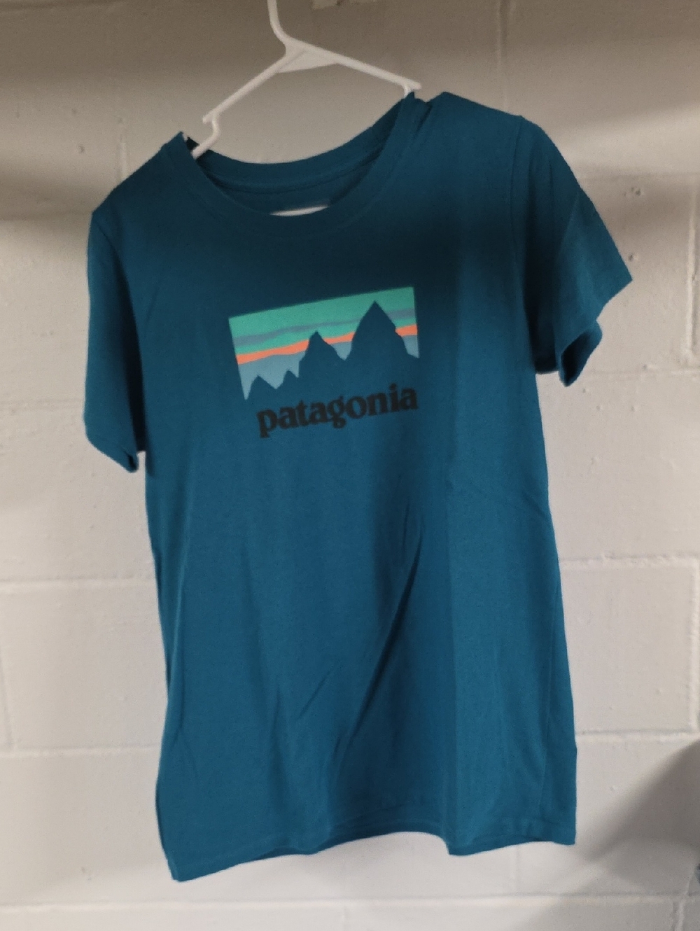 Patagonia Teal Short-Sleeve Mountain Logo Tee